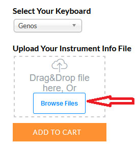 Upload instrument info N27 file interface on psrstyles.com
