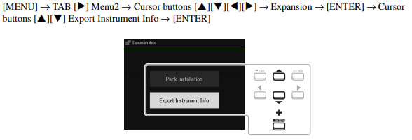 PSR SX600 Instrument Info screen